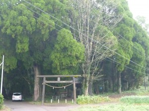 竈門神社鳥居