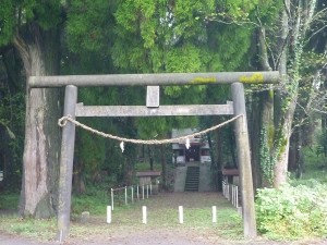 鳥居の奥に、本殿が見えます。