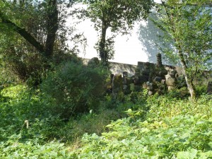 大昌寺跡の横にある山につながる道から写したものです。