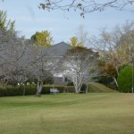 写真には写っていませんが、左手には遊具のある公園があります。奥に見えるのは納骨堂。