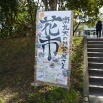 花市があちこちで宣伝されていたんですが、買いに行きそびれました。