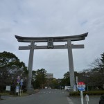 少し離れてとってみました。