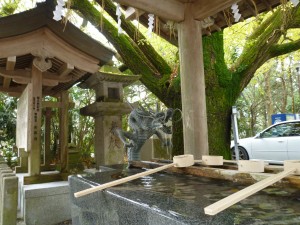 神柱宮の手水場。龍がかっこいい。