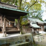 境内社から社殿を見たところです。こういう並びも珍しい気がします。