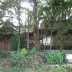道路側から写した本殿・幣殿・拝殿です。