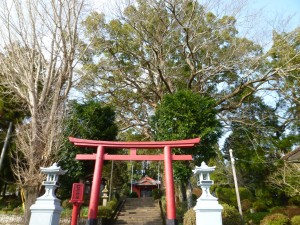 木々が写るようにあおりでとってみました。