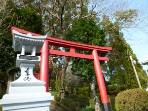 近づいてもう一枚。