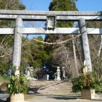 鳥居を正面から