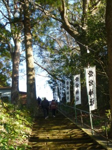 鎮守の杜という感じが好きです。