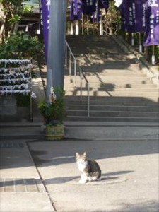 白いところが飛んじゃってますね。