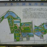早水公園の案内板。たくさんの池があるのがわかりますね。