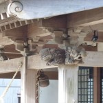 右手の狛犬と象。監視カメラがあるのが何とも・・・。